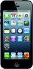 Apple iPhone 5 16GB - Октябрьск